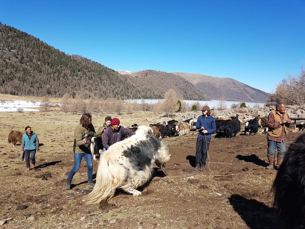 Vast Mongolia Tour & Hostel Улан-Батор Экстерьер фото